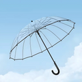 Parapluie Transparent Résistant Anti-Vent Noir - Acheter Parapluie