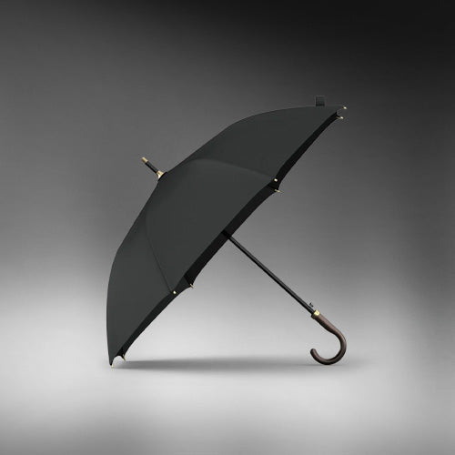 Parapluie Élégant - Acheter Parapluie