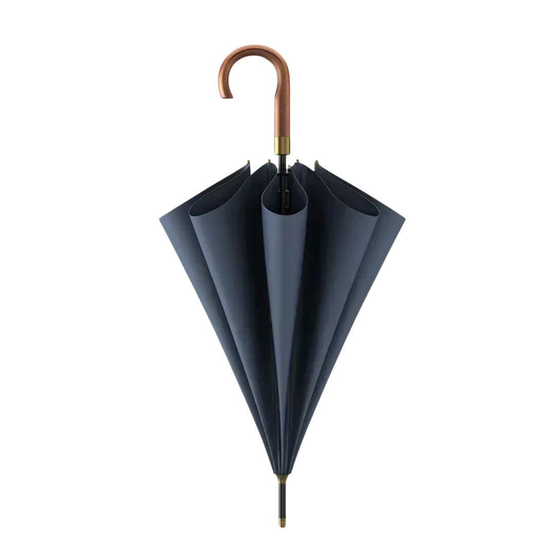 Parapluie Élégant Vintage Gris Canne - Acheter Parapluie
