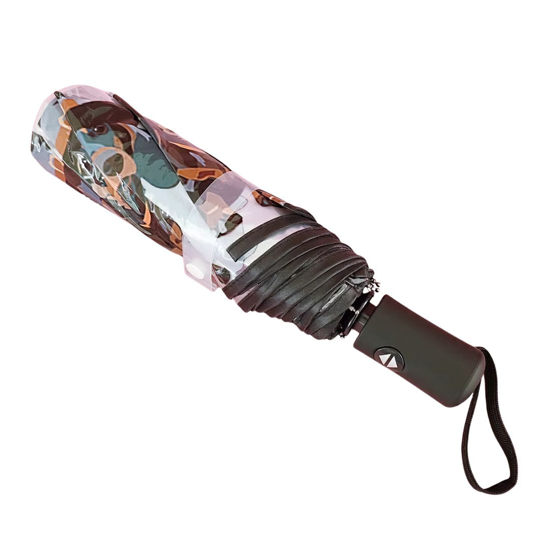 Parapluie Transparent Motif Chien - Acheter Parapluie