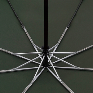 Parapluie Élégant Ultra-Léger Vert - Acheter Parapluie
