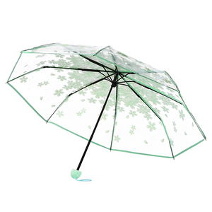 Parapluie Transparent Fleur de Cerisier Vert - Acheter Parapluie