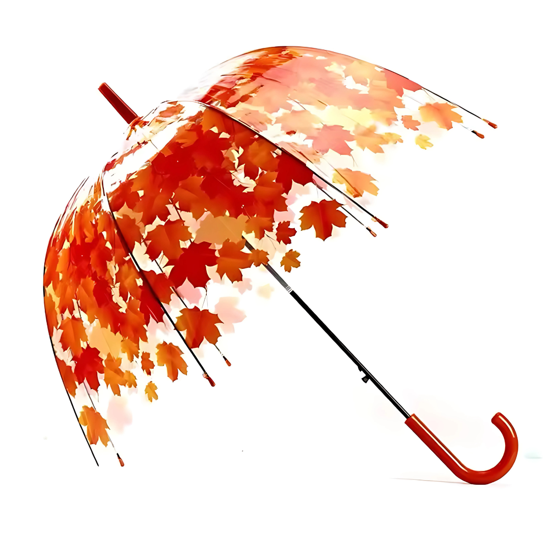 Parapluie Transparent Motif Feuilles Rouge - Acheter Parapluie