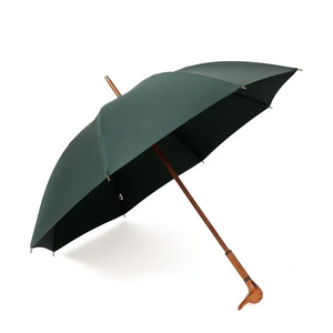 Parapluie  Canne de Marche – Manche en Bois Sculpté Vert - Acheter Parapluie