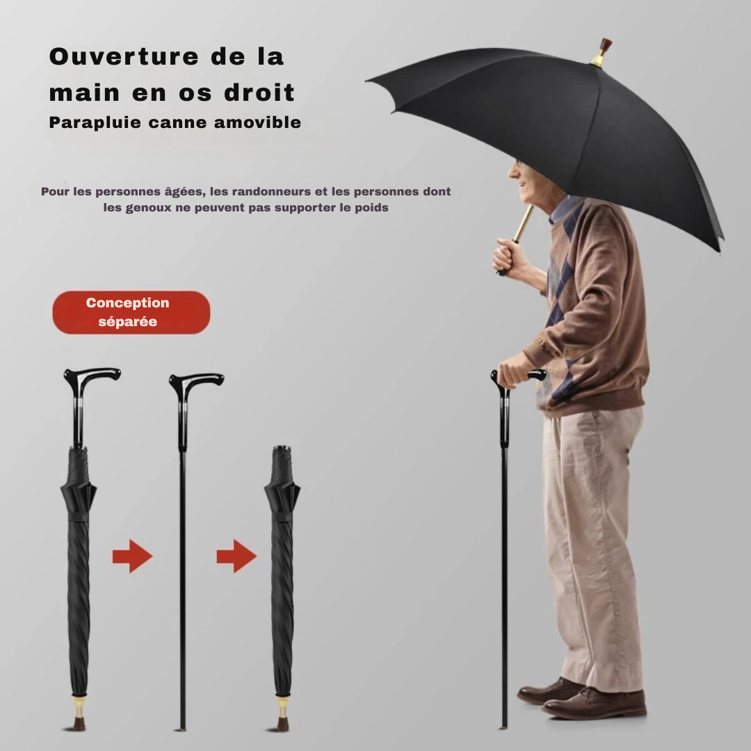 Parapluie Canne de Marche Robustesse Vin Rouge - Acheter Parapluie