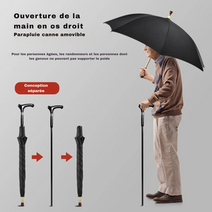 Parapluie Canne de Marche Robustesse Vin Rouge - Acheter Parapluie