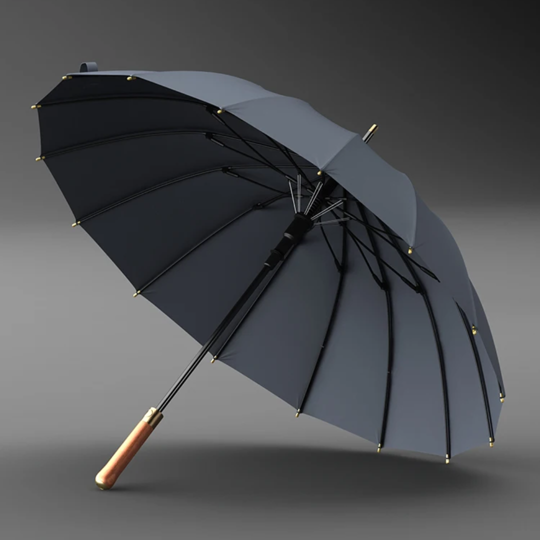Parapluie Élégant Manche en Bois Gris - Acheter Parapluie