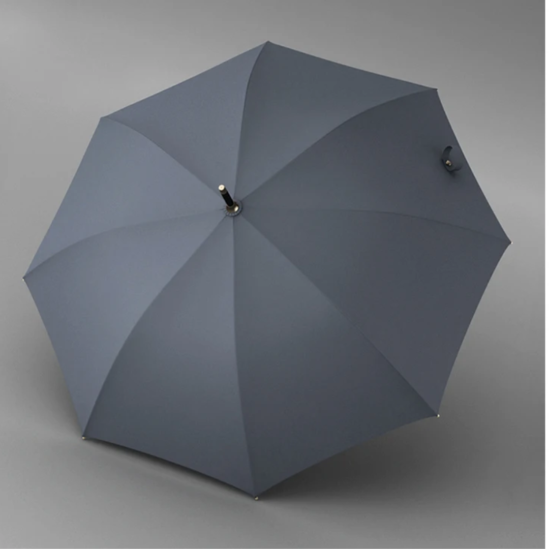 Parapluie Élégant Vintage Gris Canne - Acheter Parapluie